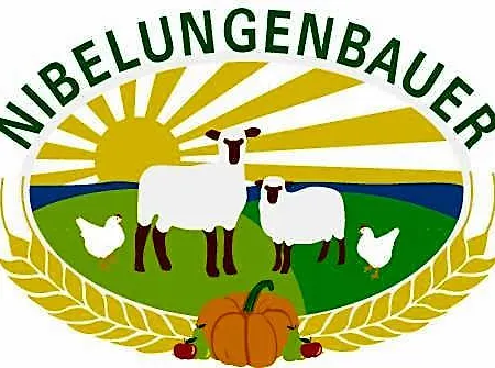Szálloda Zum Nibelungenbauer Pöchlarn